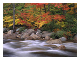 Autumn Along Swift River, White Mountains National Forest, New Hampshire-Paper Art-26,,X20,,
