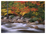 Autumn Along Swift River, White Mountains National Forest, New Hampshire-Paper Art-42,,X32,,