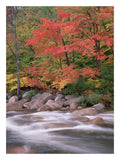 Autumn Along Swift River, White Mountains National Forest, New Hampshire-Paper Art-20,,X26,,