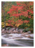 Autumn Along Swift River, White Mountains National Forest, New Hampshire-Paper Art-26,,X34,,