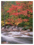 Autumn Along Swift River, White Mountains National Forest, New Hampshire-Paper Art-32,,X42,,