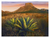 Casa Grande Butte With Agave In Foreground, Big Bend National Park, Texas-Paper Art-34,,X26,,