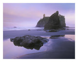 Ruby Beach With Seastacks And Boulders, Olympic National Park, Washington-Paper Art-26,,X20,,