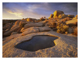 Water That Has Collected In Boulder, Joshua Tree National Park, California-Paper Art-34,,X26,,