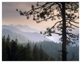 View Over Foothills To The West From Kings Canyon National Park, California-Paper Art-42,,X32,,