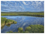 Clouds Reflected In The Green River, Bridger-Teton National Forest, Wyoming-Paper Art-50,,X38,,