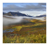 Fog Over Tundra, Tombstone Range, Tombstone Territorial Park, Yukon, Canada-Paper Art-18,,X16.56,,