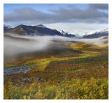Fog Over Tundra, Tombstone Range, Tombstone Territorial Park, Yukon, Canada-Paper Art-32,,X29.3,,