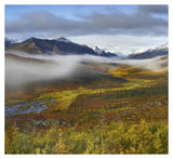 Fog Over Tundra, Tombstone Range, Tombstone Territorial Park, Yukon, Canada-Paper Art-38,,X34.76,,