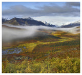 Fog Over Tundra, Tombstone Range, Tombstone Territorial Park, Yukon, Canada-Paper Art-46,,X42.04,,