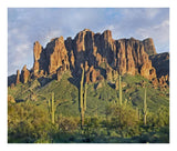 Saguaro Cacti And Superstition Mountains, Lost Dutchman State Park, Arizona-Paper Art-24,,X20.26,,