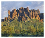 Saguaro Cacti And Superstition Mountains, Lost Dutchman State Park, Arizona-Paper Art-32,,X26.9,,