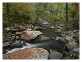 Cedar Creek Flowing Through Deciduous Forest, Petit Jean State Park, Arkansas-Paper Art-34,,X26,,