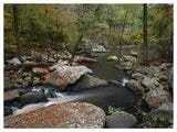 Cedar Creek Flowing Through Deciduous Forest, Petit Jean State Park, Arkansas-Paper Art-50,,X38,,