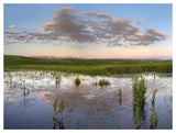 Reflection Of Clouds In The Water, Arapaho National Wildlife Refuge, Colorado-Paper Art-50,,X38,,