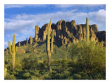 Saguaro Cacti And Superstition Mountains At Lost Dutchman State Park, Arizona-Paper Art-26,,X20,,