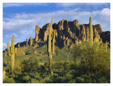 Saguaro Cacti And Superstition Mountains At Lost Dutchman State Park, Arizona-Paper Art-42,,X32,,