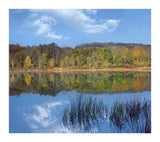 Deciduous Forest Along Lackawanna Lake, Ricketts Glen State Park, Pennsylvania-Paper Art-18,,X16.08,,