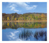 Deciduous Forest Along Lackawanna Lake, Ricketts Glen State Park, Pennsylvania-Paper Art-24,,X21.36,,