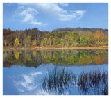 Deciduous Forest Along Lackawanna Lake, Ricketts Glen State Park, Pennsylvania-Paper Art-42,,X37.2,,