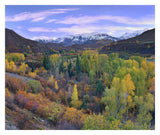 Quaking Aspen Forest In Autumn, Snowmass Mountain Near Quaking Aspen, Colorado-Paper Art-32,,X26.9,,