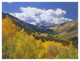 Haystack Mountain With Aspen Forest, Maroon Bells-Snowmass Wilderness, Colorado-Paper Art-42,,X32,,