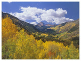 Haystack Mountain With Aspen Forest, Maroon Bells-Snowmass Wilderness, Colorado-Paper Art-50,,X38,,