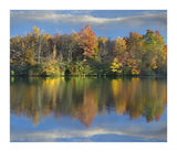 Deciduous Forest In Autumn Along Price Lake, Blue Ridge Parkway, North Carolina-Paper Art-18,,X15.6,,