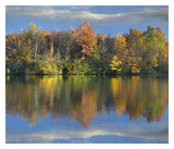 Deciduous Forest In Autumn Along Price Lake, Blue Ridge Parkway, North Carolina-Paper Art-32,,X27.5,,