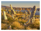 Wind And Rain Eroded Tufa Towers Amid Squirreltail Barley Mono Lake, California-Paper Art-18,,X14,,