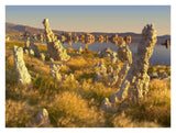 Wind And Rain Eroded Tufa Towers Amid Squirreltail Barley Mono Lake, California-Paper Art-34,,X26,,