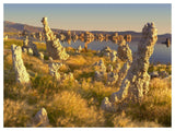 Wind And Rain Eroded Tufa Towers Amid Squirreltail Barley Mono Lake, California-Paper Art-50,,X38,,