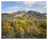 Quaking Aspen Forest And Chair Mountain In Autumn, Raggeds Wilderness, Colorado-Paper Art-38,,X31.88,,