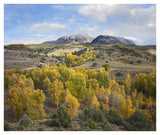 Quaking Aspen Forest And Chair Mountain In Autumn, Raggeds Wilderness, Colorado-Paper Art-42,,X35.2,,