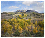 Quaking Aspen Forest And Chair Mountain In Autumn, Raggeds Wilderness, Colorado-Paper Art-46,,X38.52,,