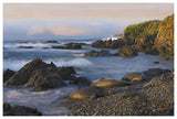Northern Elephant Seals Resting On The Beach, Point Piedras Blancas, California-Paper Art-62,,X42,,