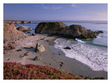 Beach Near San Simeon Creek With Ice Plant In The Foreground, Big Sur, California-Paper Art-34,,X26,,