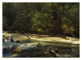 Merced River Flowing Through The Valley Floor, Yosemite National Park, California-Paper Art-18,,X14,,