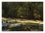 Merced River Flowing Through The Valley Floor, Yosemite National Park, California-Paper Art-26,,X20,,