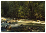 Merced River Flowing Through The Valley Floor, Yosemite National Park, California-Paper Art-42,,X32,,
