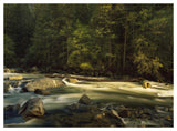Merced River Flowing Through The Valley Floor, Yosemite National Park, California-Paper Art-50,,X38,,