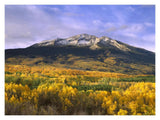 East Beckwith Mountain And Trees In Fall Color, Gunnison National Forest, Colorado-Paper Art-18,,X14,,