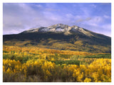 East Beckwith Mountain And Trees In Fall Color, Gunnison National Forest, Colorado-Paper Art-42,,X32,,