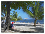 Tourist Resting Under Palm Trees On Beach At Palmetto Bay, Roatan Island, Honduras-Paper Art-18,,X14,,