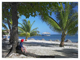 Tourist Resting Under Palm Trees On Beach At Palmetto Bay, Roatan Island, Honduras-Paper Art-42,,X32,,