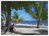 Tourist Resting Under Palm Trees On Beach At Palmetto Bay, Roatan Island, Honduras-Paper Art-50,,X38,,