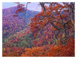 Blue Ridge Range With Autumn Deciduous Forest, Near Buck Creek Gap, North Carolina-Paper Art-18,,X14,,
