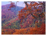 Blue Ridge Range With Autumn Deciduous Forest, Near Buck Creek Gap, North Carolina-Paper Art-34,,X26,,