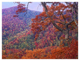 Blue Ridge Range With Autumn Deciduous Forest, Near Buck Creek Gap, North Carolina-Paper Art-42,,X32,,