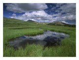 Cumulus Clouds Reflected In Pond At Guanella Pass, Arapaho National Forest, Colorado-Paper Art-26,,X20,,